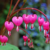 anna_arango_oficial (@annaarango6000) on Kwai