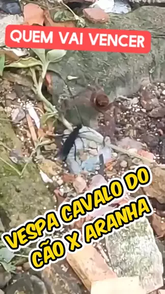 A aranha zumbi e a vespa Cavalo do cão 