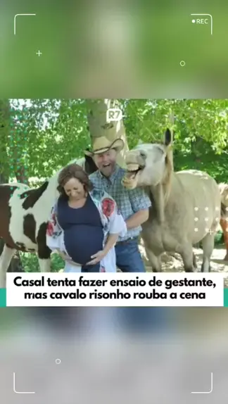 Casal tenta tirar foto de gestação, mas cavalo risonho rouba a