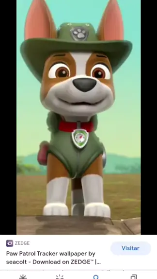 paw patrol with tracker