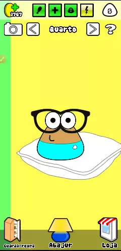 pou de oculos branco