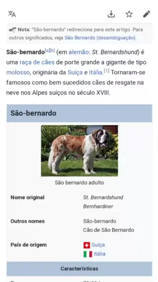 São Bernardo: A origem do cão que se tornou um símbolo da Suíça