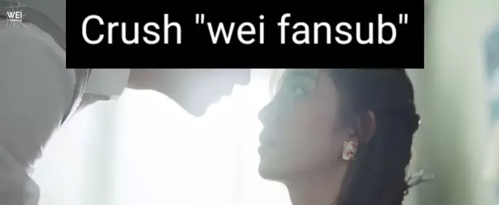 Wei Fansub