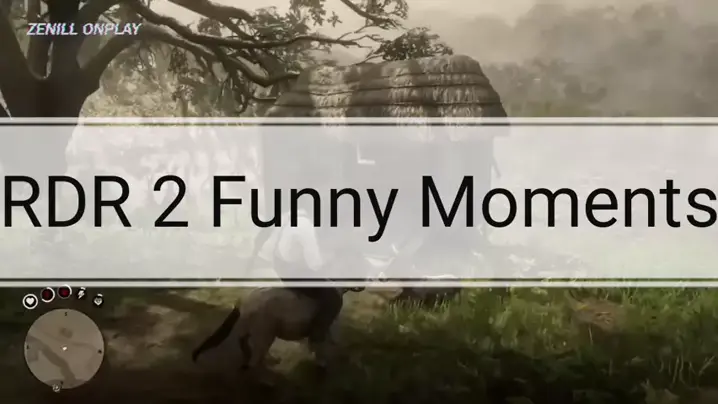 Funny rdr2 online moments