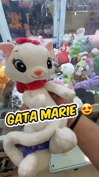 Gata Marie Linda na máquina de pelúcias 😍🥰