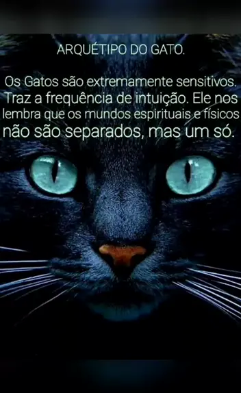 ꓖⲅⲓⲙⲟ́ⲅⲓⲟ Ⲇⲃⲉⲅⲧⲟ on Instagram: “A Energia dos Gatos Os gatos possuem uma  conexão com o mundo mágico, invisível. Assim co…