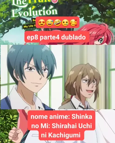 shinka no mi dublado completo