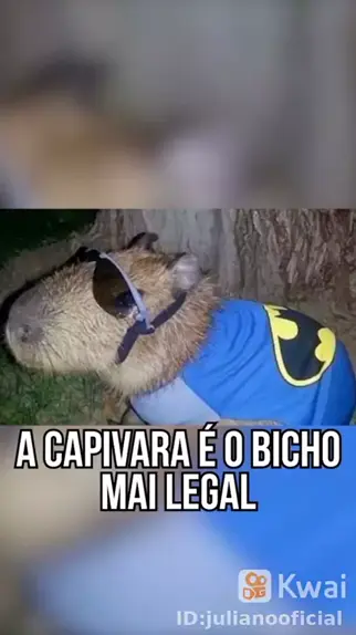 Capivara meme 