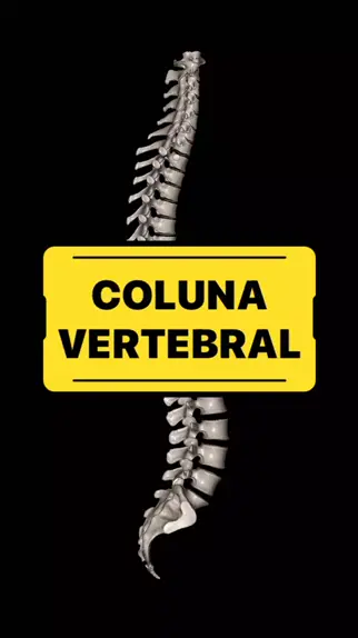 Infográfico de anatomia da coluna vertebral ou curvas da coluna