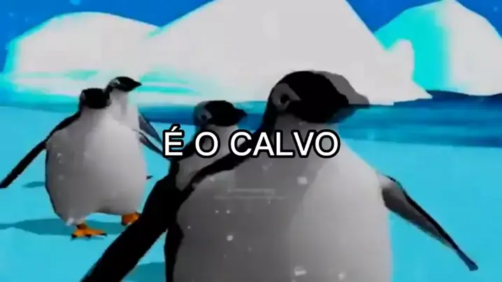 é a tropa do calvo da zueira 