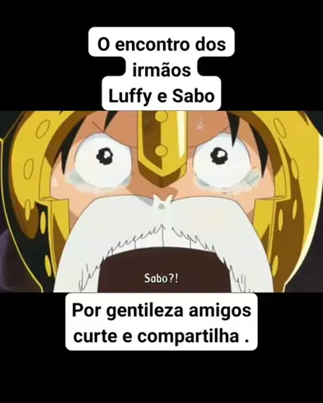 luffy y sabo se reencuentran