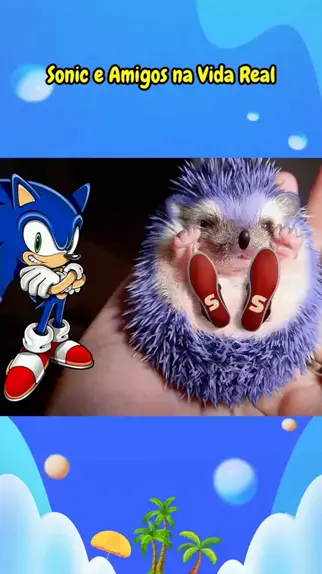 JOGO do FINAL do SONIC EXE 😂