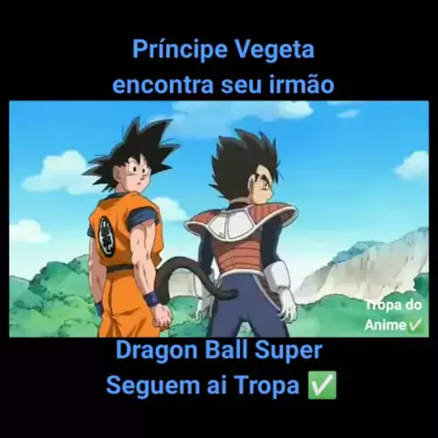 O Irmão Esquecido de VEGETA! #fyyyyyyyyyyyyyyyy #foryou #ttk #anime #a