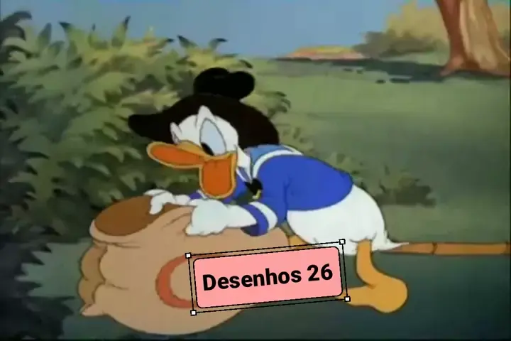 DonaldDuckEsq  Desenho animado disney, Disney, Desenhos