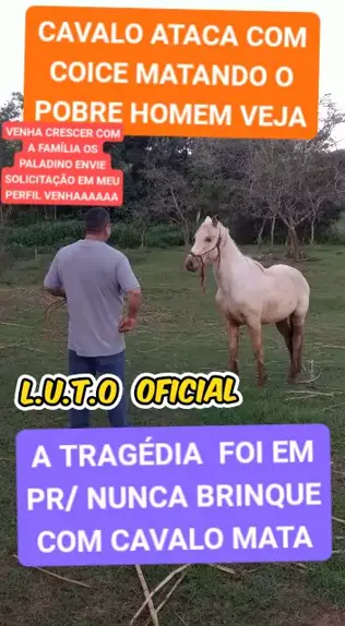 video de homem matando cavalo