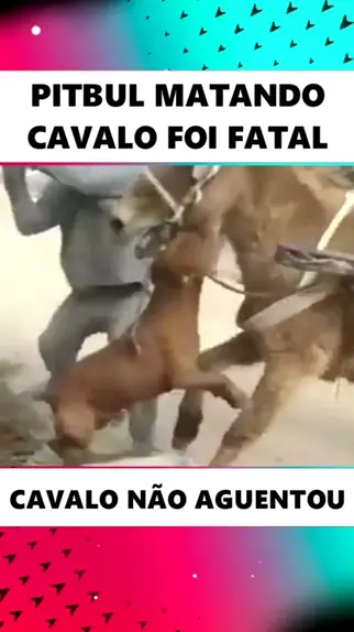 video do cara matando cavalo com faca