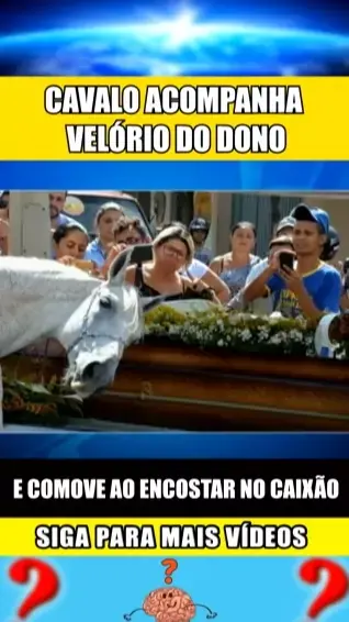 Reação de cavalo no enterro do dono comove internautas 