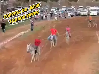 Vídeo engraçado - corrida de cavalo - kkkkk 
