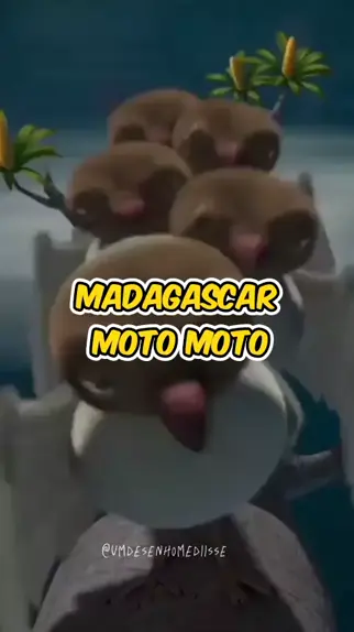 madagascar moto moto saindo da água