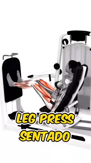 LEG PRESS HORIZONTAL SENTADO