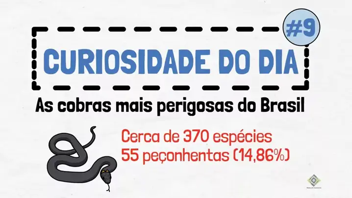 cobras peçonhentas do brasil