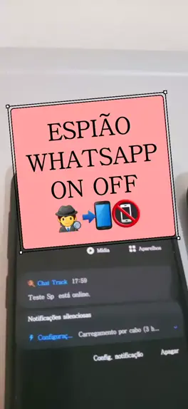 www.espiao net