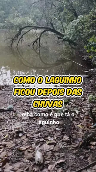 o que é ancinho no laguinho