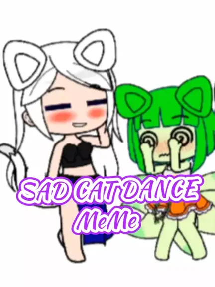 Sad cat dance meme? 