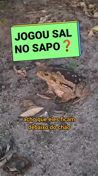 CapCut_joguei sal no sapo