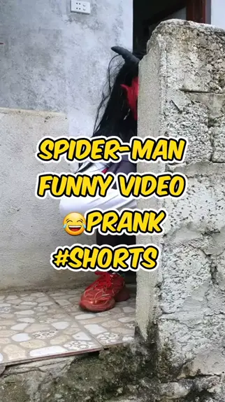 Spider hot sale funny video