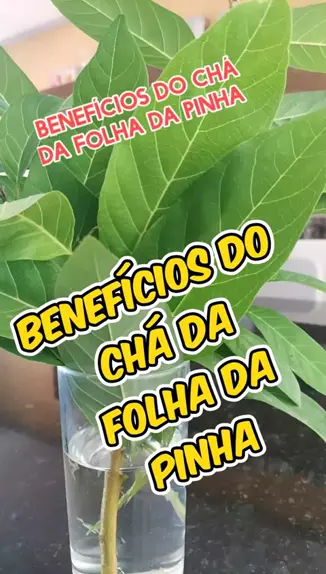 CRIS OLIVEIRA CrisOliveira. . udio original criado por CRIS OLIVEIRA. Benef cios do ch da folha da pinha CrescerNaFam lia EstrelaDeFam lia Ultra10kvis sejacriador kwaiverde