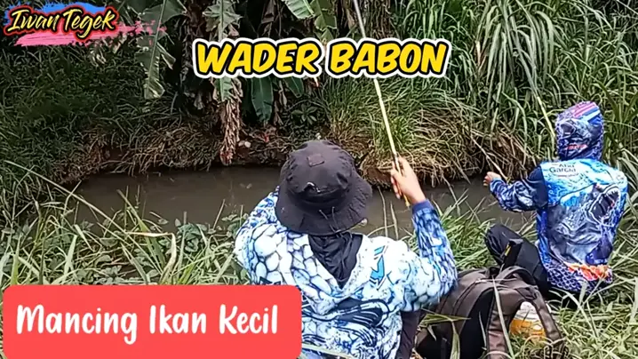 mancing Wader Babon pakai pelampung Di spot pegunungan