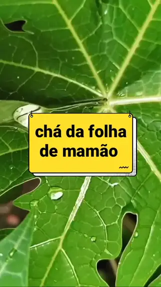 pratique sa de pratiquesaude . udio original criado por pratique sa de. receitadodia viral dicas teis dicasdesaude