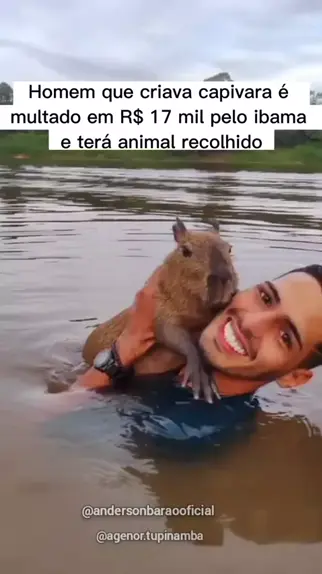 Meu nome é CLARA a CAPIVARA #shorts #viral #shortsviral #capivara