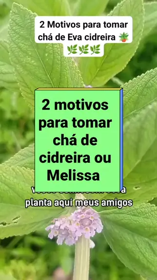 CLEBERTON HORTA ORG NICA cleberton750 . udio original criado por CLEBERTON HORTA ORG NICA. Ultra10kvis mellhorvideolevel1 CrescerNaFam lia EstelaDeFamila 2 motivos para tomar o ch de Eva