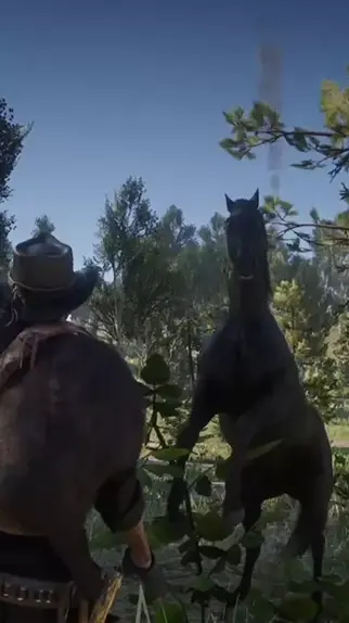 Red Dead Redemption 2 cavalo nokota ruano blue #reddead2