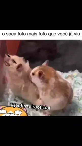 Soca tão fofo que é uma fofa socando kkkk 