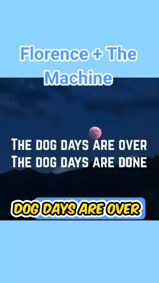 que significa la cancion dog days are over