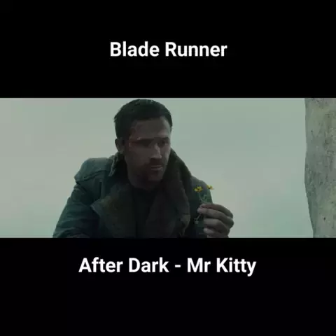 mr kitty blade runner