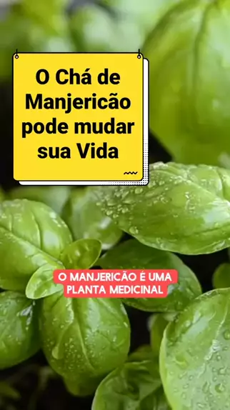 Faz Bem Dicas fazbemdicas1 . udio original criado por Faz Bem Dicas. O Ch de Manjeric o pode mudar sua Vida manjericao Cha benef cios topz fazbemdicas