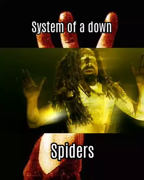 system of a down spider caminhao