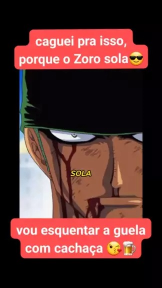 o que significa o zoro sola