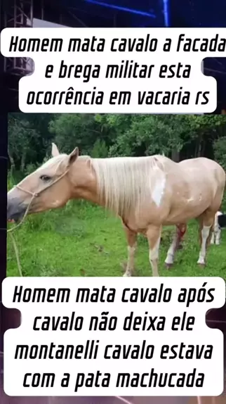 homem mata cavalo video