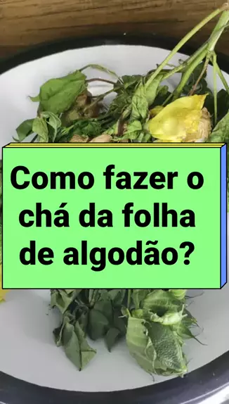 cha de folha de algodao gravida pode tomar Discover