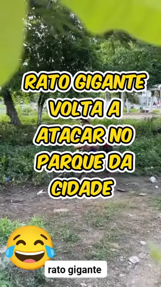 Ratos GIGANTES infestam cidade no IRÃ?