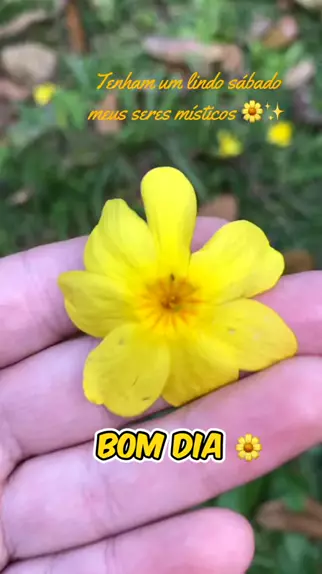 Místicos Online - Bom dia com alegria!!!🌼🌼🌼