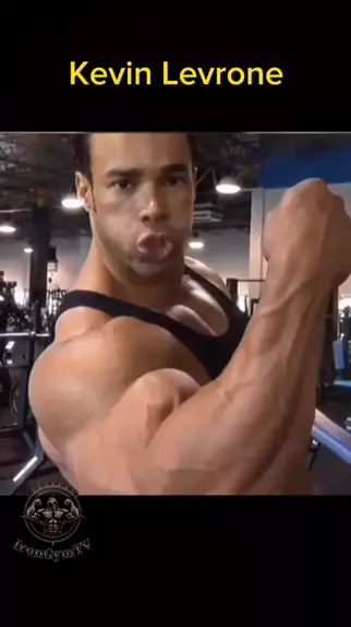 Kevin levrone workout online split