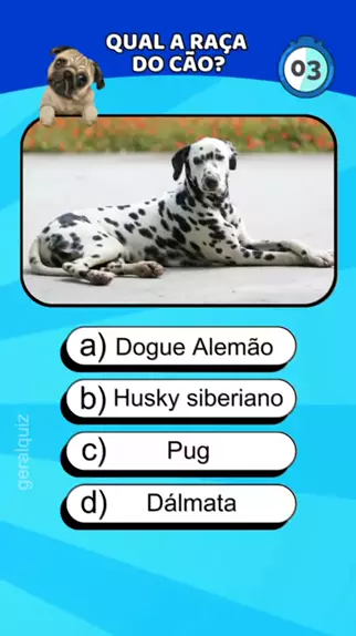 Qual é a raça desses cachorros? #quiz #cachorro #cachorros