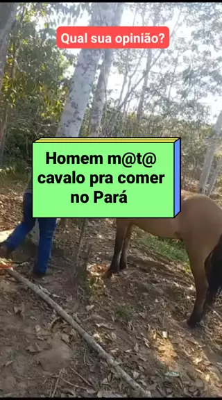 homem mata cavalo para comer