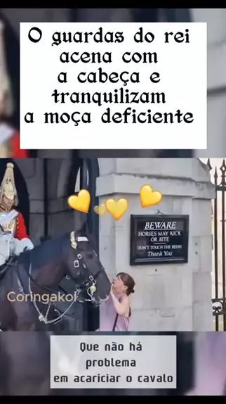 Acaricie o Cavalo